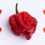 What's the hottest pepper on Earth?