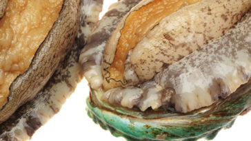 What's the most expensive seafood?