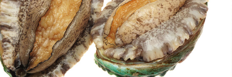 What's the most expensive seafood?