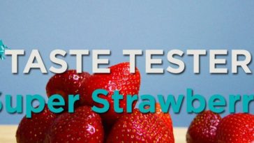 What's the taste of strawberry?