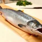 When should I buy wild salmon?