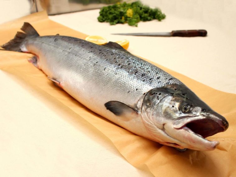 When should I buy wild salmon?