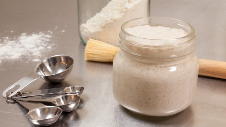 When should I throw out my sourdough starter?