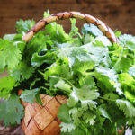 When should I use coriander?