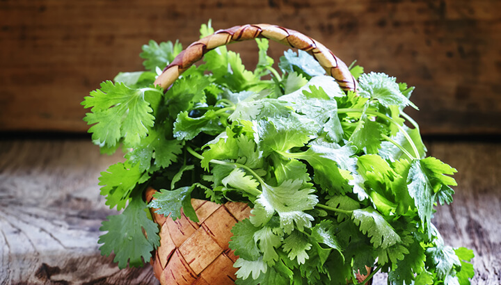 When should I use coriander?