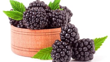 When should you not eat blackberries?