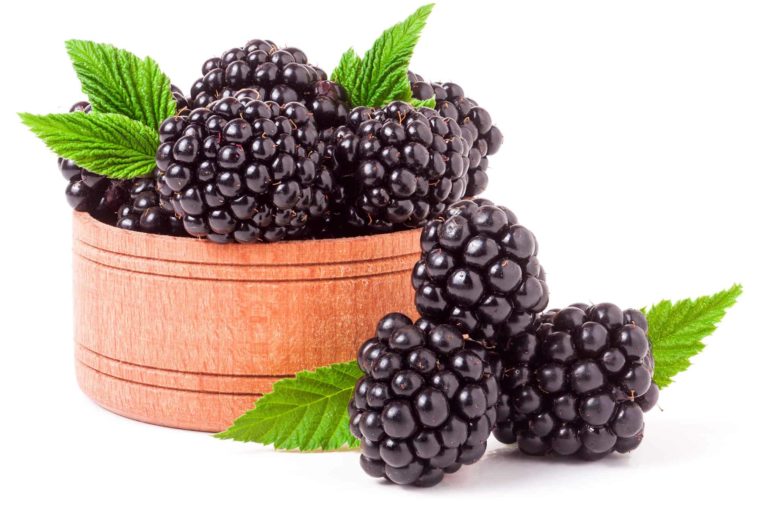 When should you not eat blackberries?