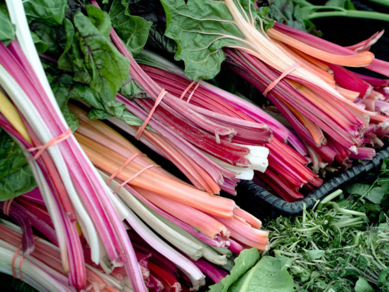 When should you not eat rhubarb?
