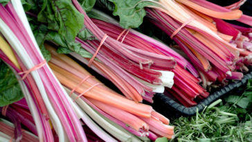 When should you not eat rhubarb?