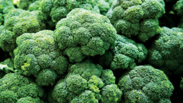 When should you throw out broccoli?