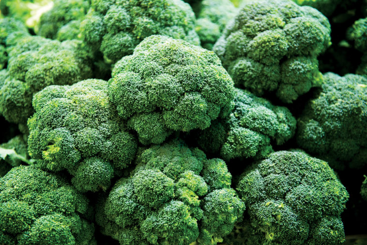 When should you throw out broccoli?