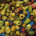 Where do Aldi cashews come from?