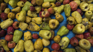 Where do Aldi cashews come from?