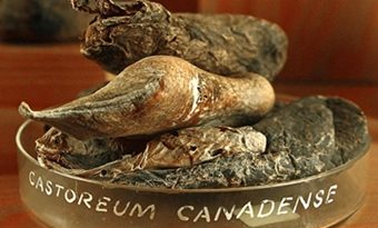 Where does fake strawberry flavor come from?