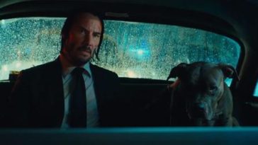 Where does the wick go?