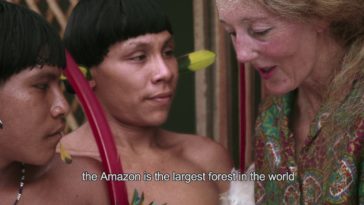 Where is Maggi mee from?