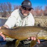 Where is the best trout fishing in Montana?
