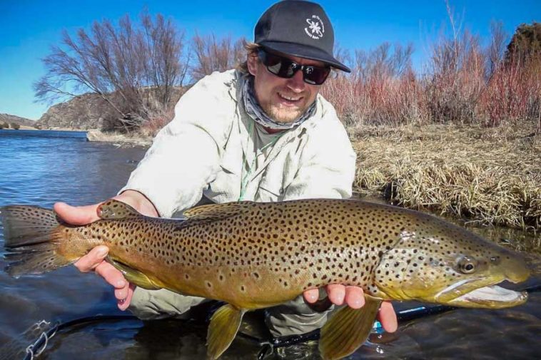 Where is the best trout fishing in Montana?