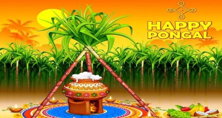Which God is Worshipped on pongal?