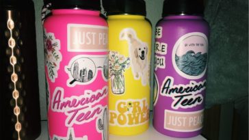 Which Hydro Flask is VSCO?