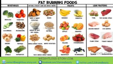 Which Weight Watchers plan is best for fast weight loss?