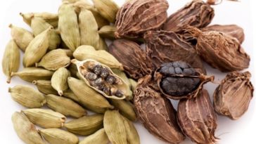 Which cardamom is best?