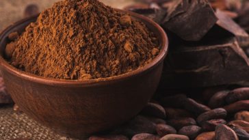 Which cocoa powder is best?