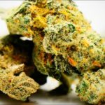 Which fruit is the juiciest?