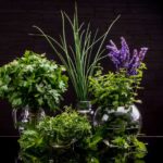 Which herbs do not go together in cooking?