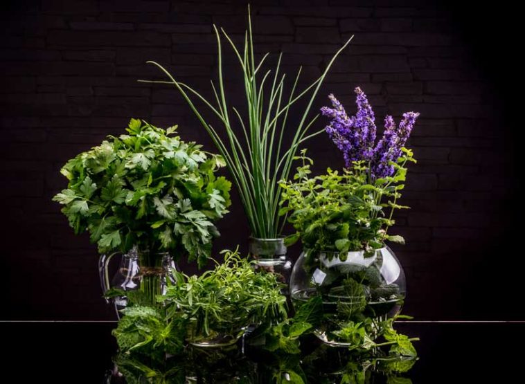 Which herbs do not go together in cooking?