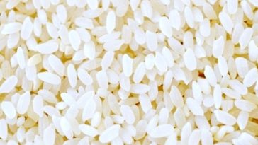 Which is better Calrose rice or jasmine rice?
