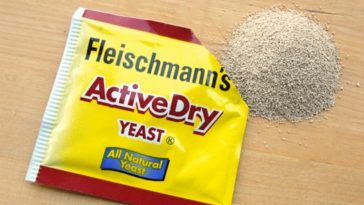 Which is better active dry yeast or instant yeast?