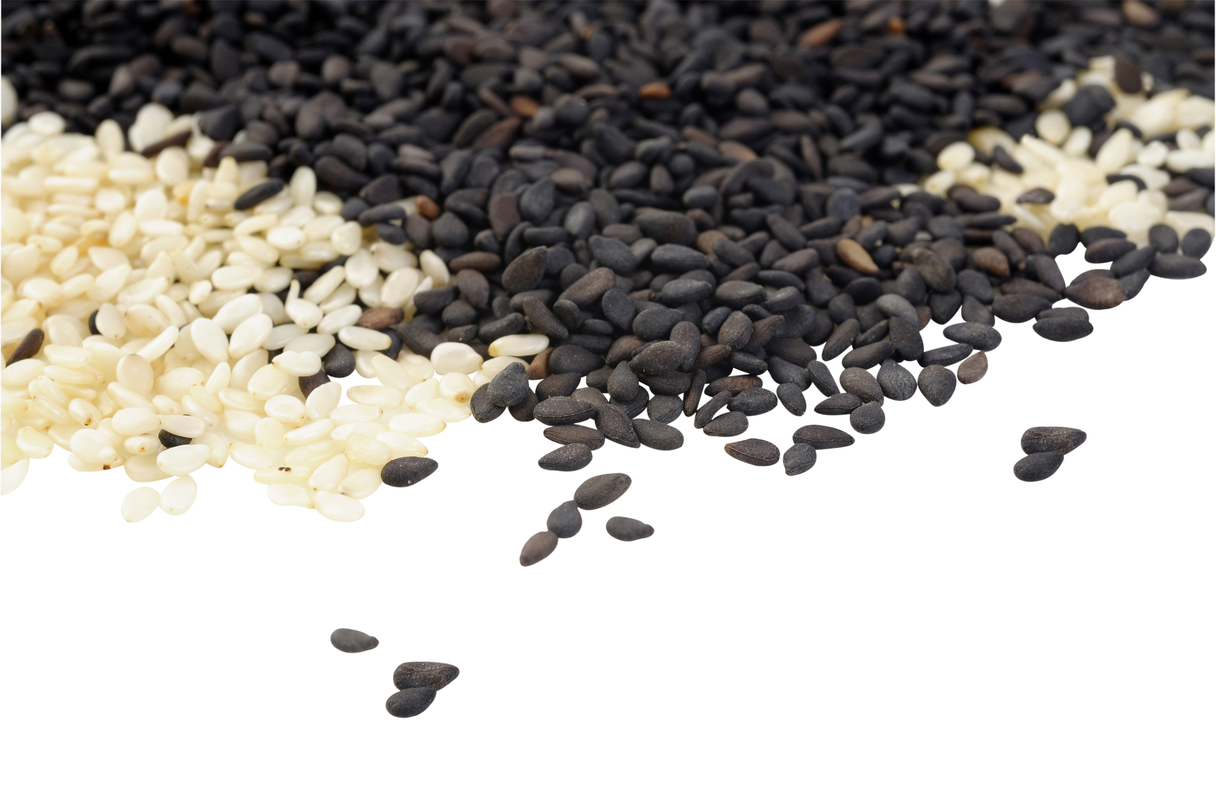 Which Is Better Black Or White Sesame Seeds