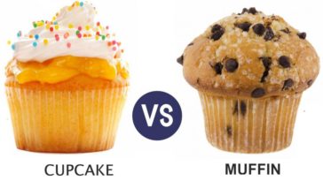 Which is better cupcake or cake?