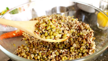Which is better lentils or mung beans?