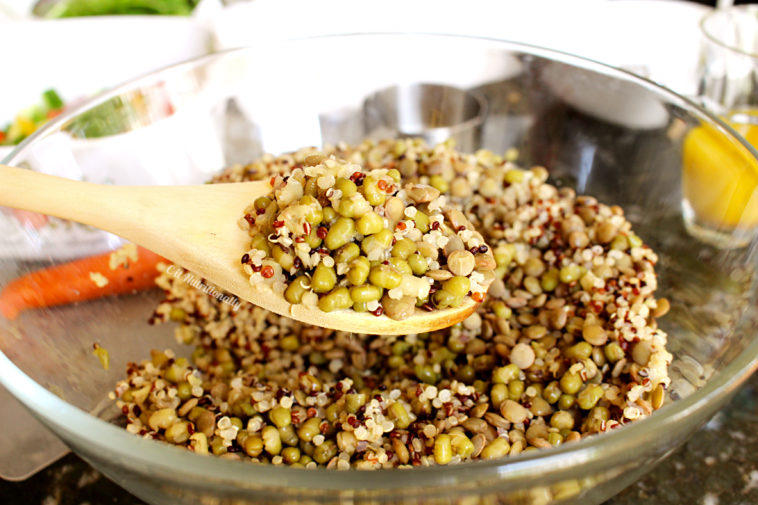 Which is better lentils or mung beans?