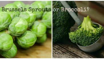 Which is healthier broccoli or brussel sprouts?