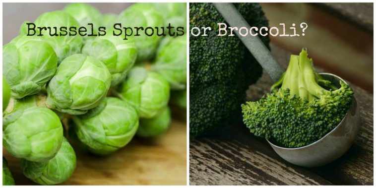 Which is healthier broccoli or brussel sprouts?