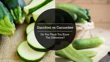 Which is healthier cucumber or zucchini?