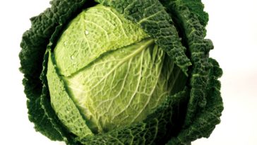 Which is healthier kale or savoy cabbage?