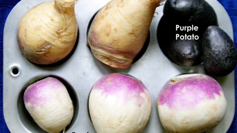 Which is healthier potato or rutabaga?
