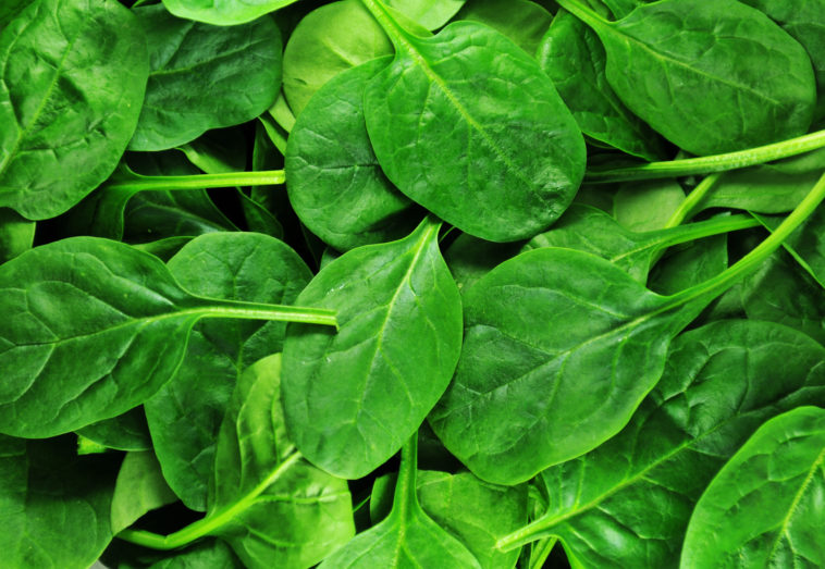 Which is healthier spinach or kale?