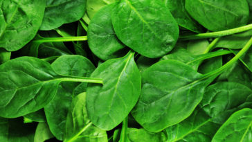 Which is healthier spinach or kale?
