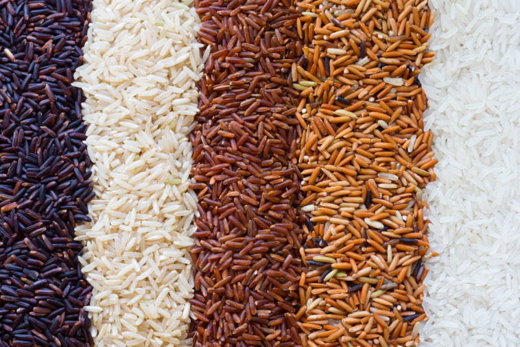 Which is healthiest rice?