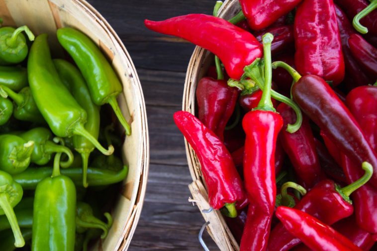 Which is hotter red or green chile sauce?