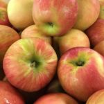 Which is sweeter Gala or Honeycrisp?