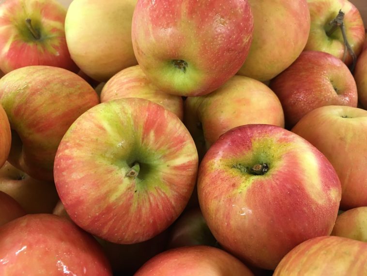 Which is sweeter Gala or Honeycrisp?