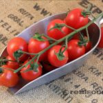 Which is sweeter cherry or plum tomatoes?