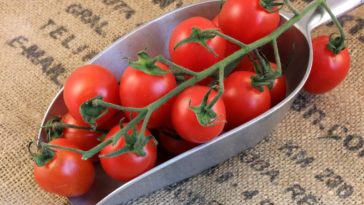 Which is sweeter cherry or plum tomatoes?