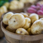 Which kind of potato is best for mashing?